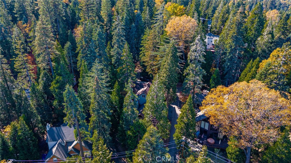 28657 Shenandoah Drive