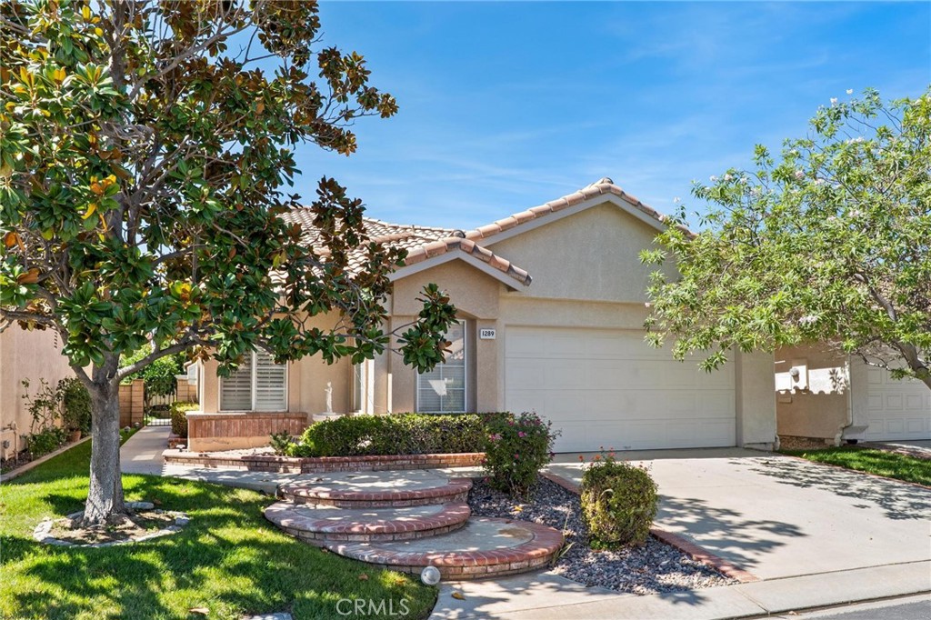 1289 Green Island Street