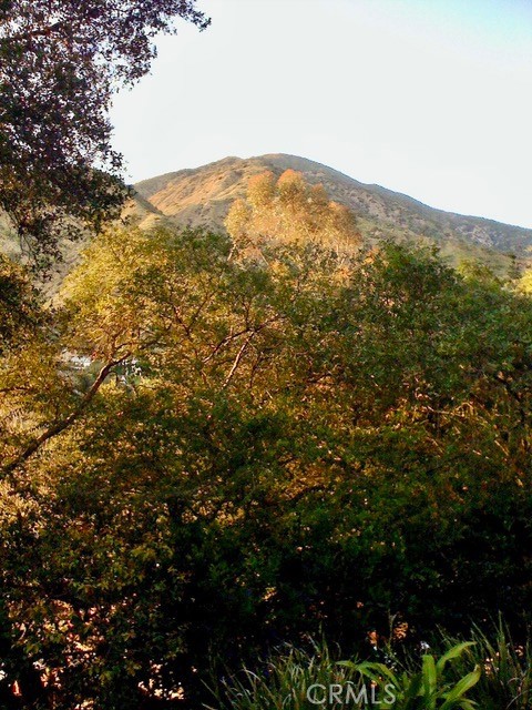 15 Vista Circle Circle