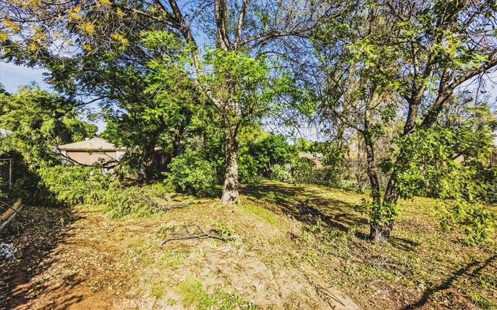 12073 Knoefler Drive