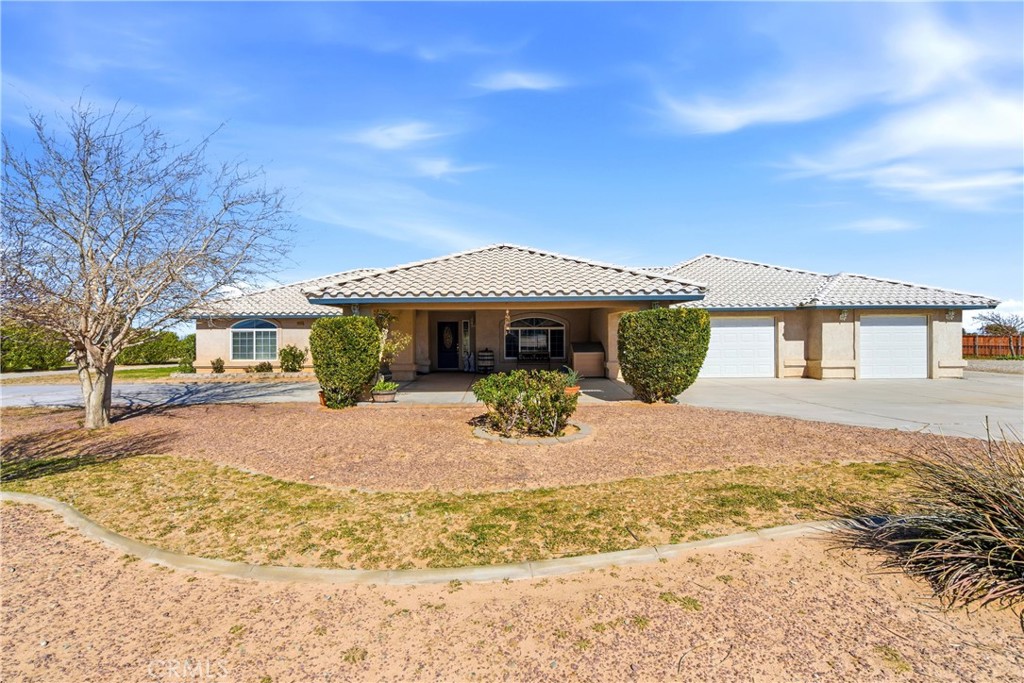 7330 Smoke Tree