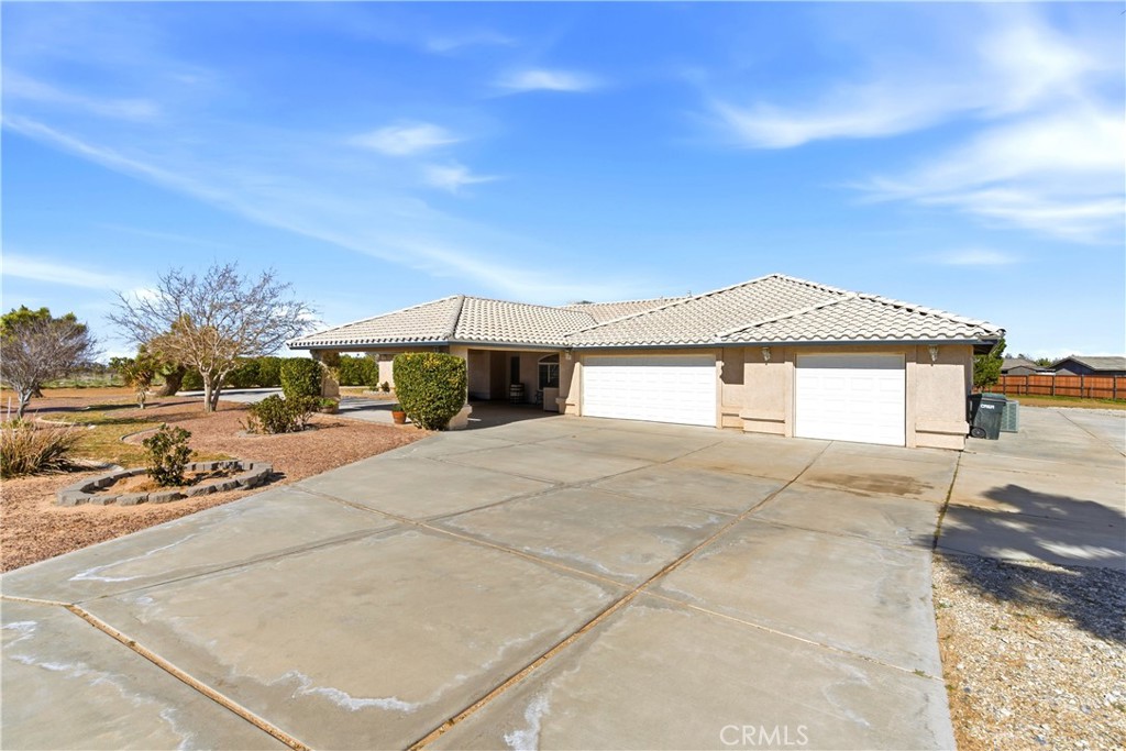 7330 Smoke Tree