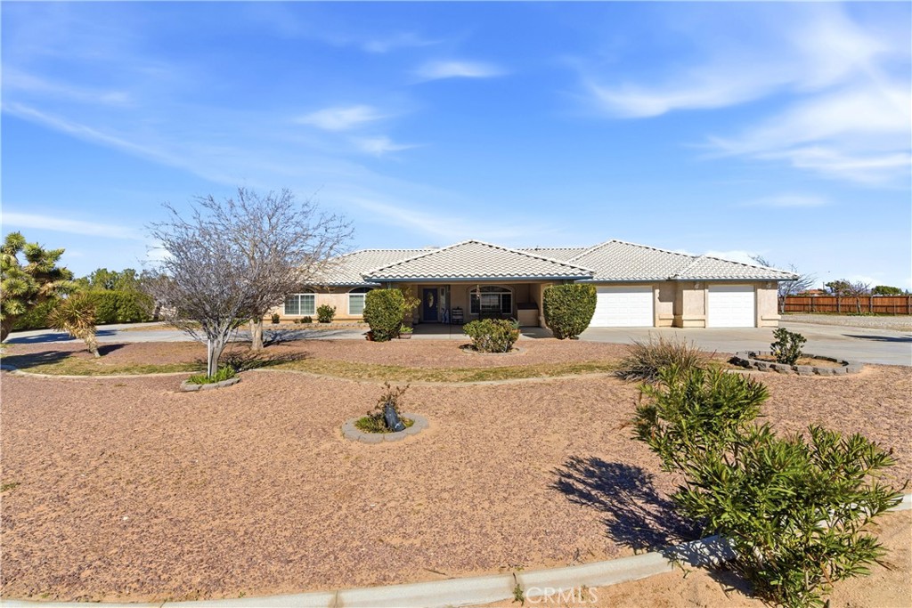 7330 Smoke Tree