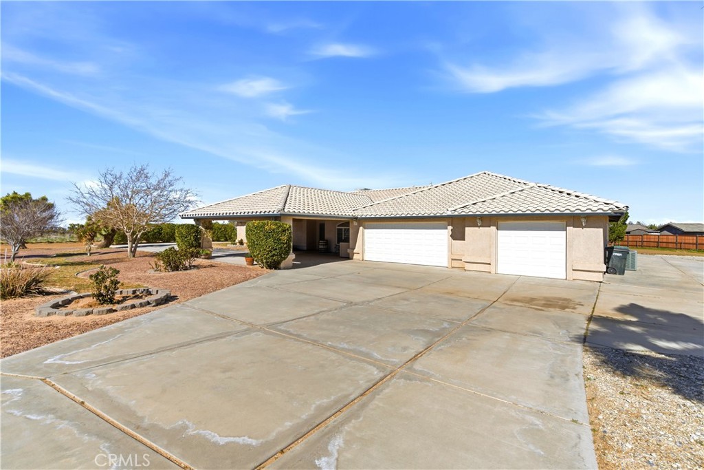 7330 Smoke Tree