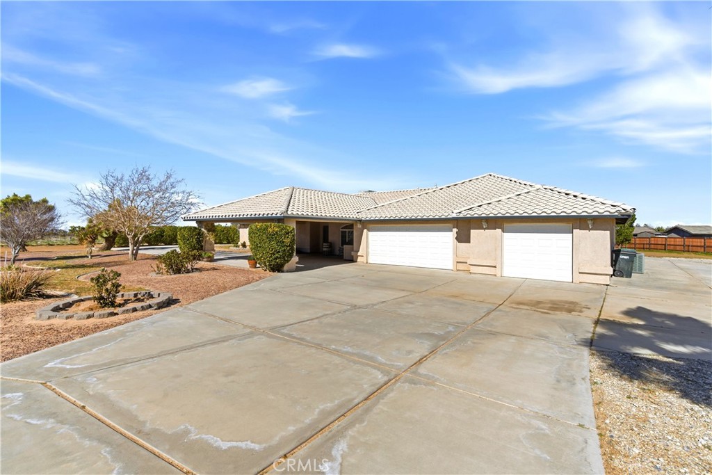 7330 Smoke Tree