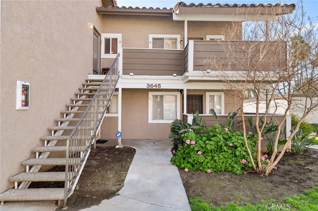 3645 Country Oaks