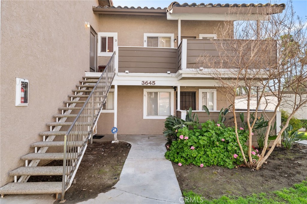 3645 Country Oaks