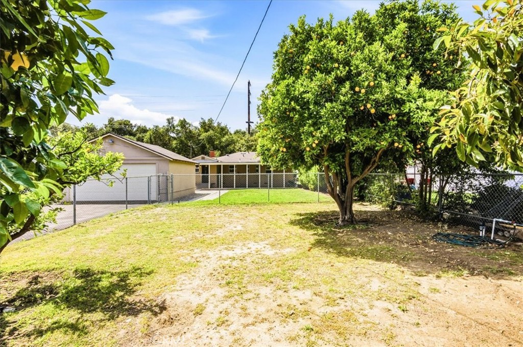 226 Sultana