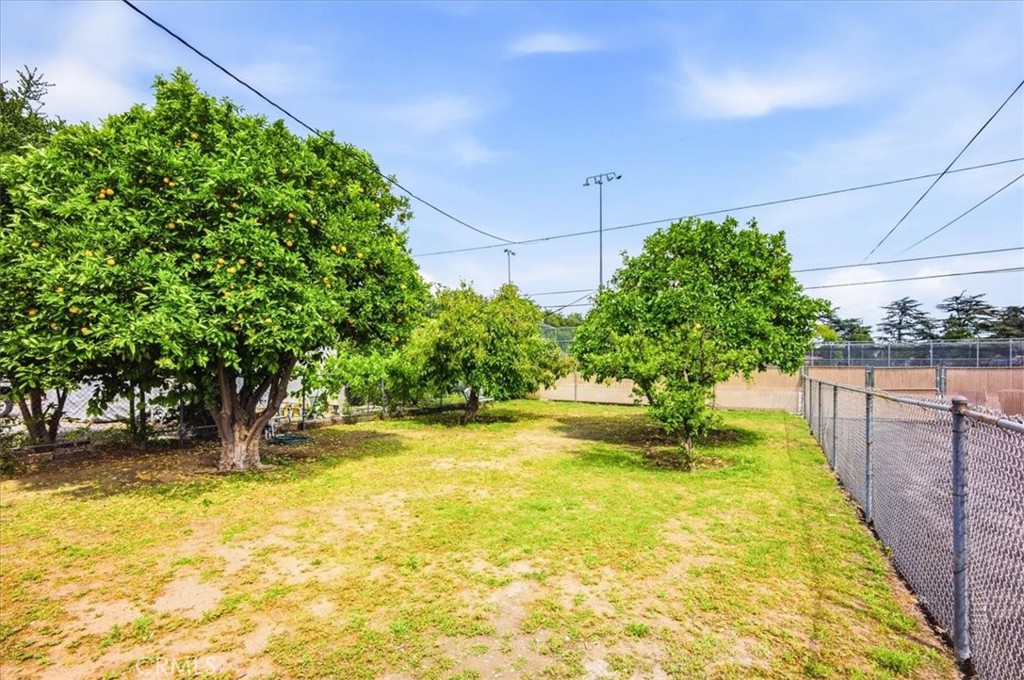 226 Sultana