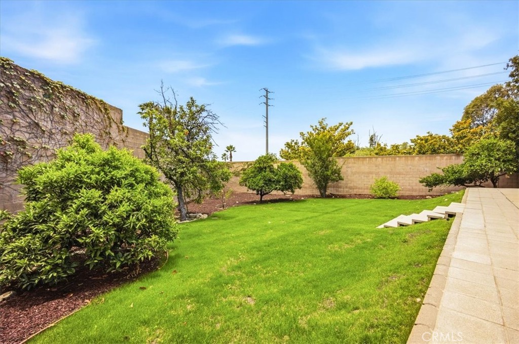 1592 Evergreen