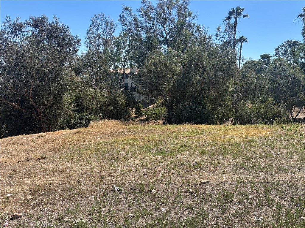 8901 Camino Predera