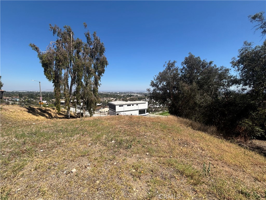 8901 Camino Predera