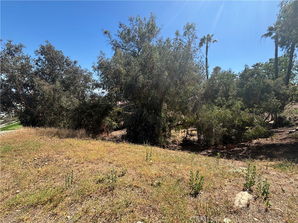 8901 Camino Predera