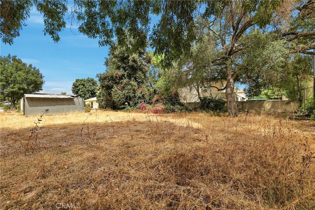 1436 3rd Street