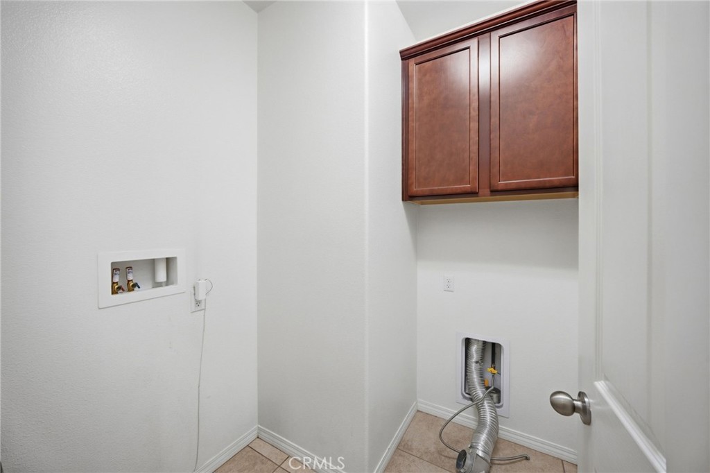 3695 Bur Oak