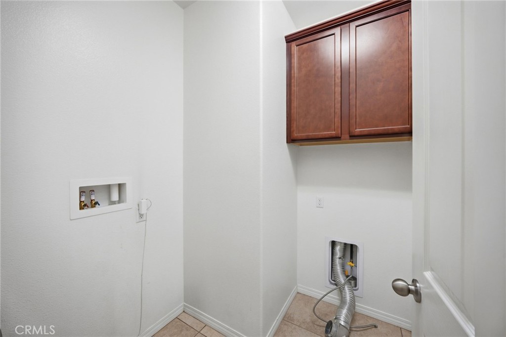 3695 Bur Oak