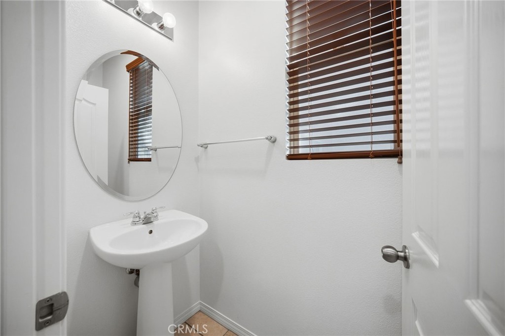 3695 Bur Oak
