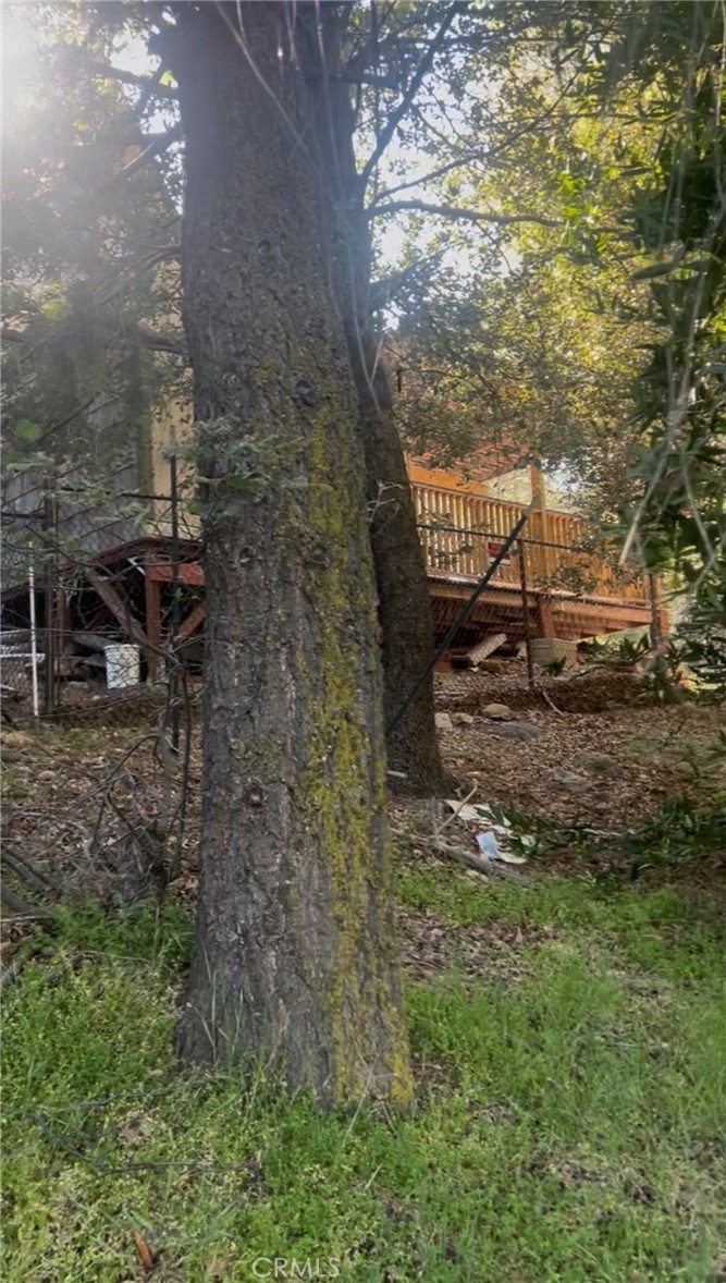 342 CANYON DR
