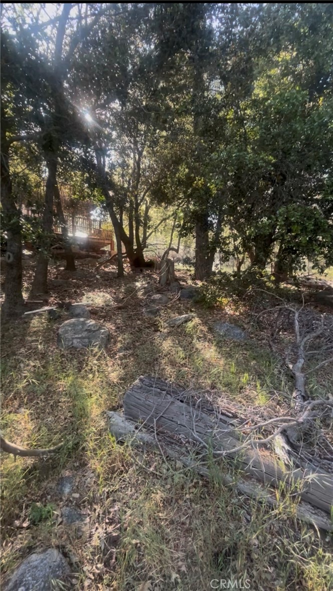 342 CANYON DR
