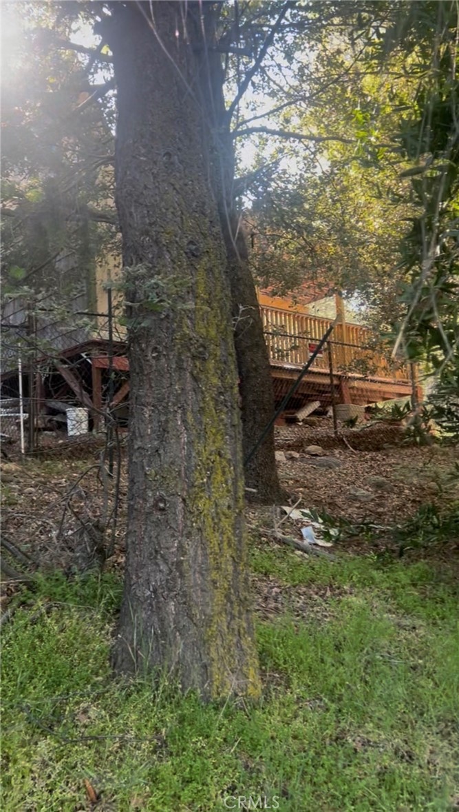 342 CANYON DR