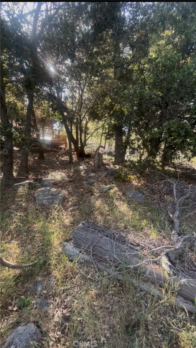 342 CANYON DR