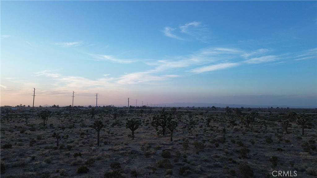 Mojave St