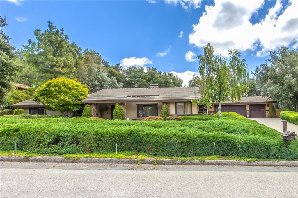 37295 Oak View
