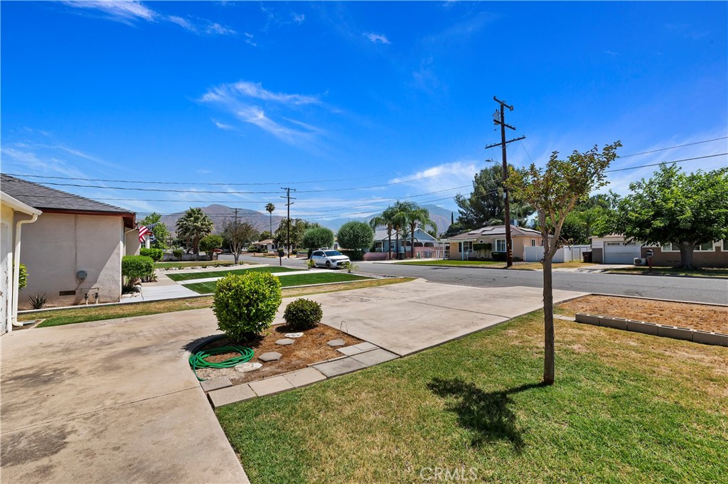 7448 Olive Tree Lane