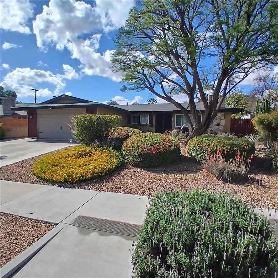 8969 Christopher Place