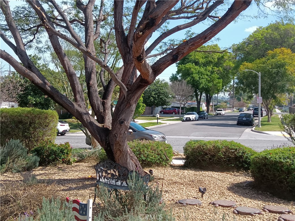 8969 Christopher Place