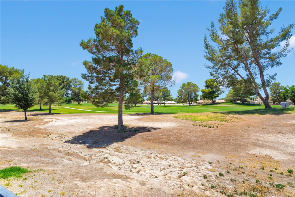 14927 Tournament Drive