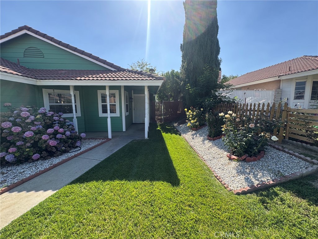 1771 Vasili Lane