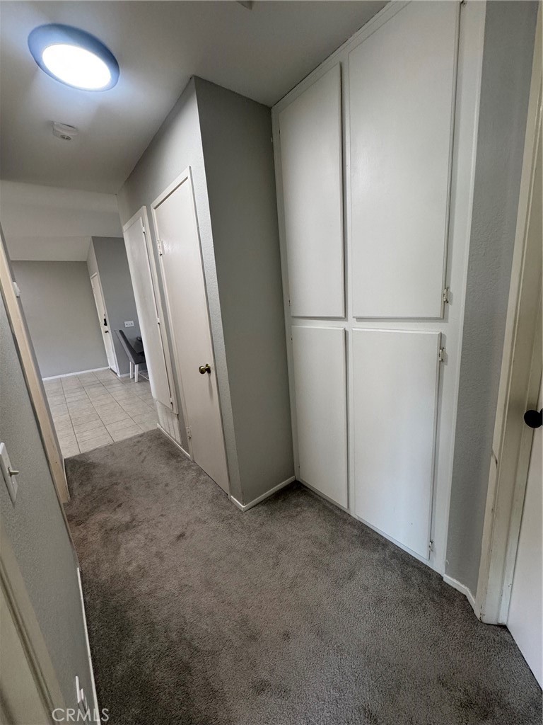 1771 Vasili Lane