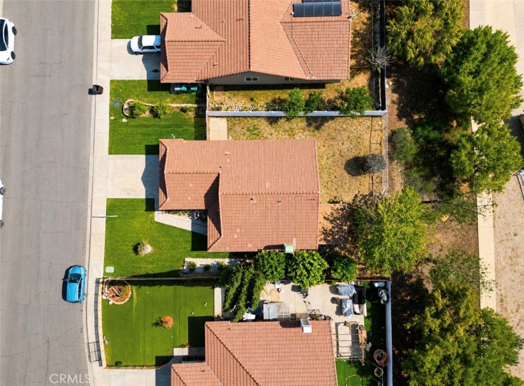 1771 Vasili Lane