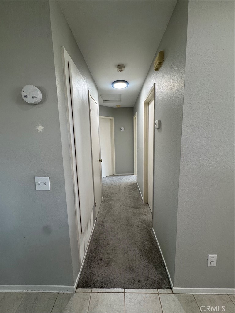 1771 Vasili Lane
