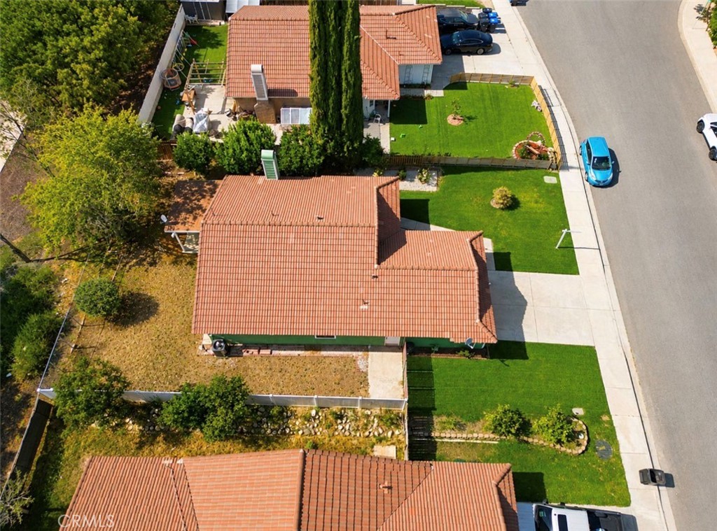 1771 Vasili Lane