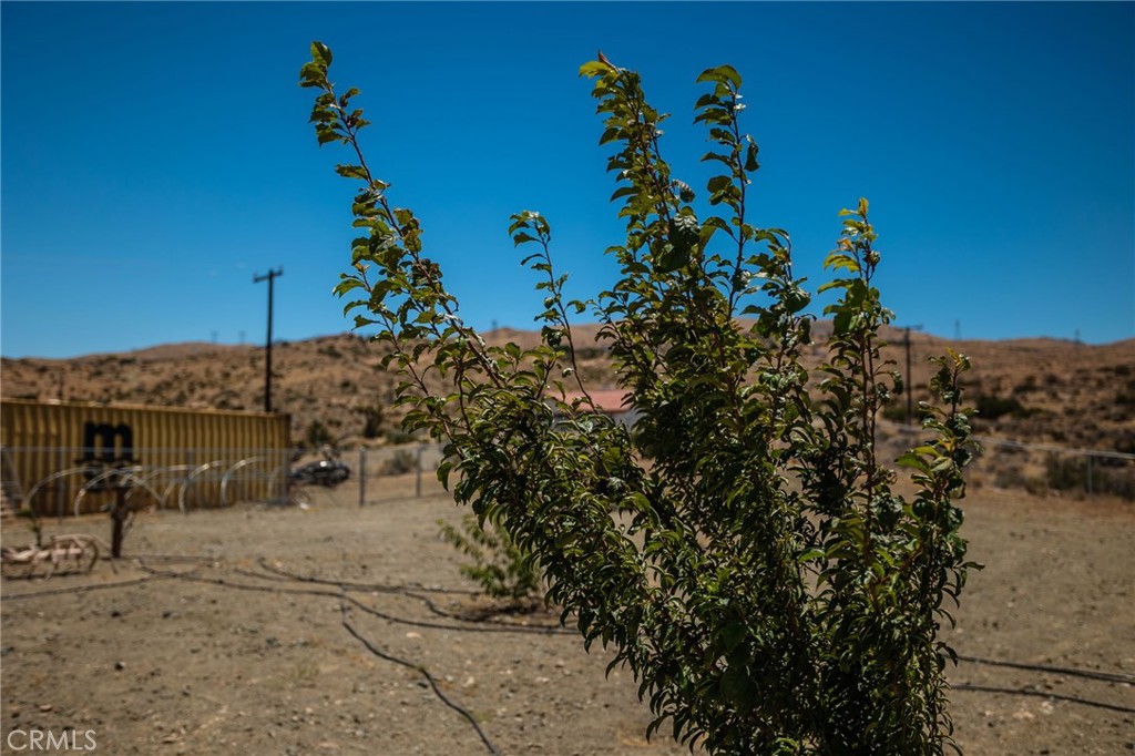 25333 Valley View