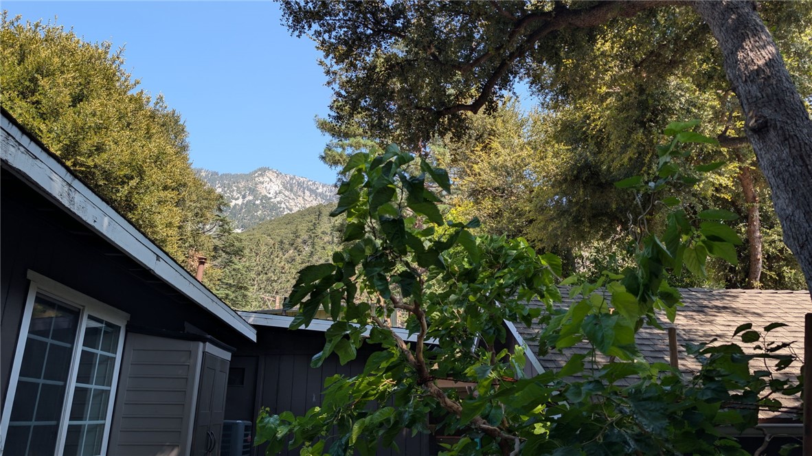 6727 Mt Baldy