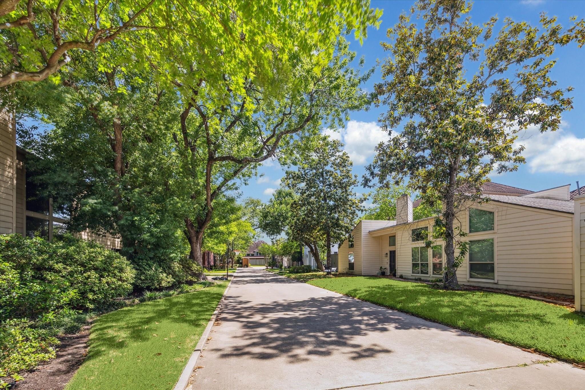 7703 Bobbitt Lane # D