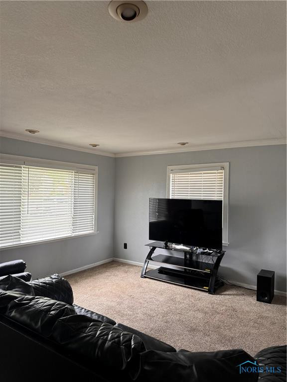 203 Northdale Drive