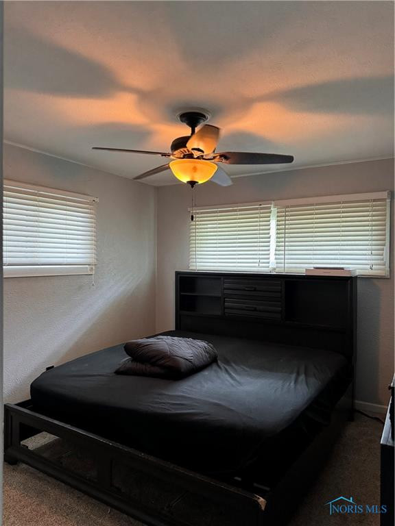 203 Northdale Drive