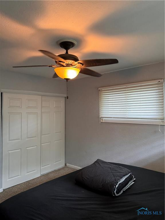 203 Northdale Drive