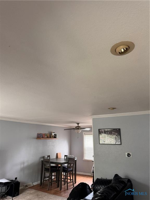 203 Northdale Drive