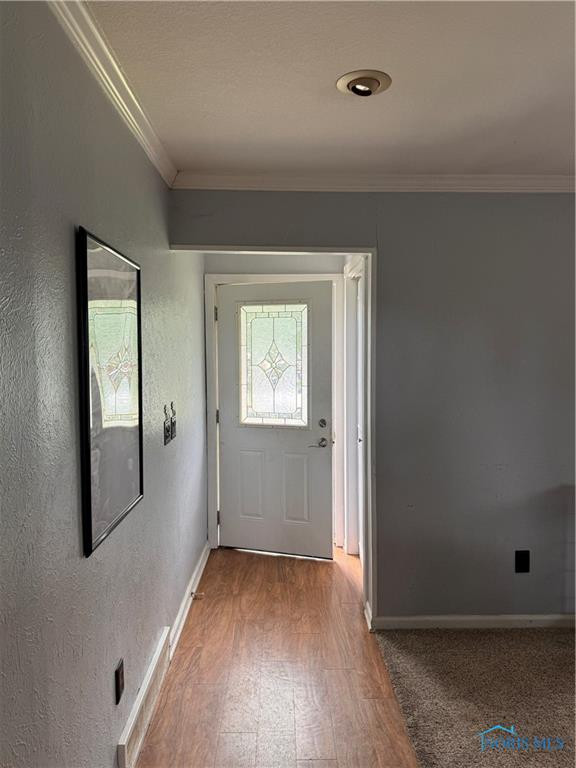 203 Northdale Drive
