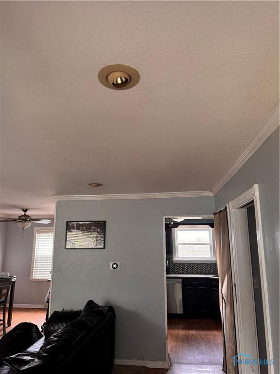 203 Northdale Drive