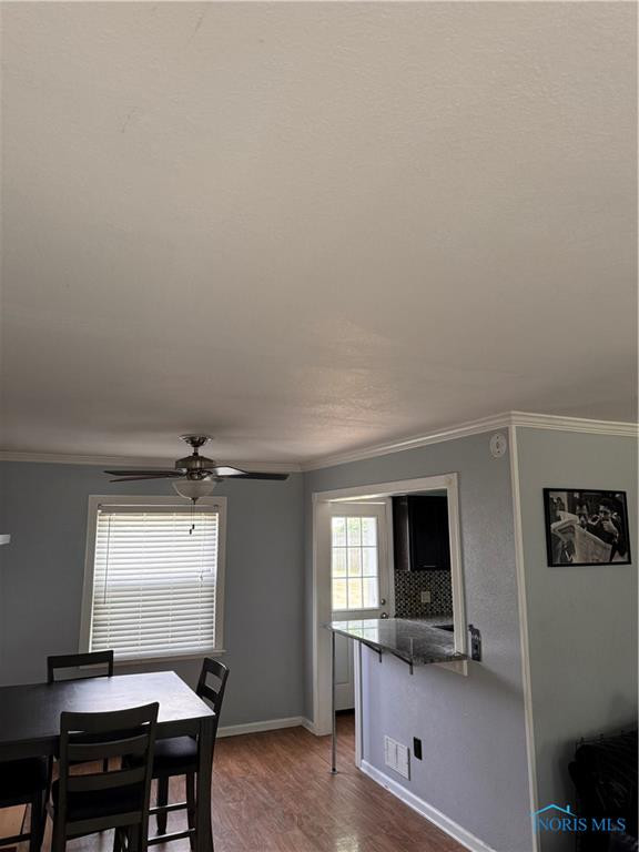 203 Northdale Drive