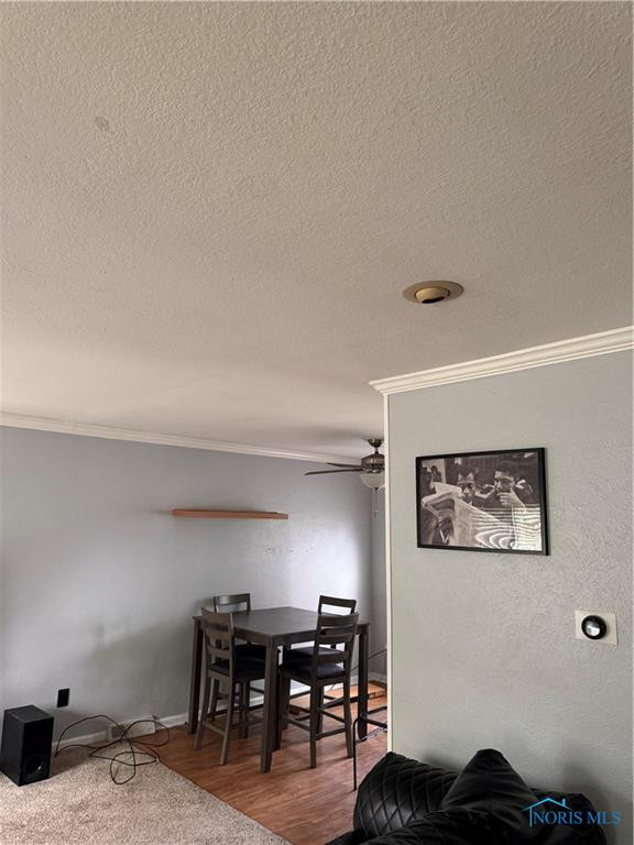 203 Northdale Drive