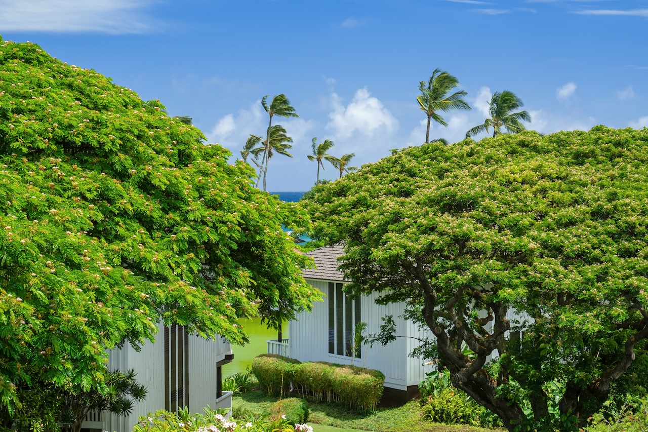 2253 POIPU RD 227