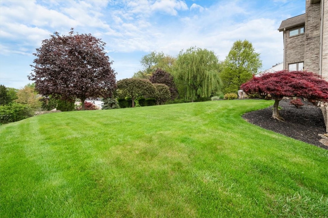 1515 Brimfield Drive