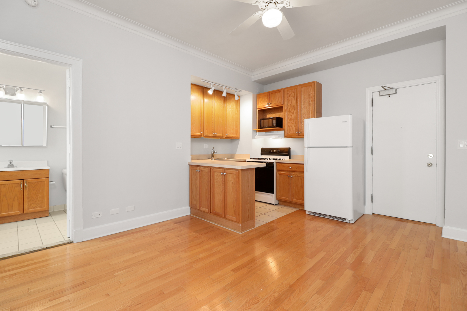 3330 N Lake Shore Drive Unit: 4F